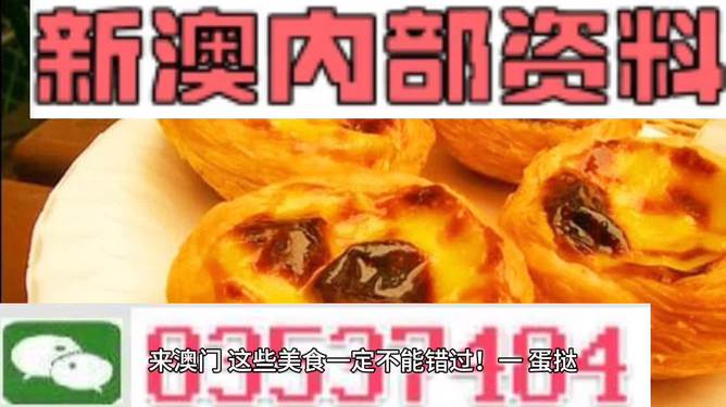 澳门内部正版资料大全嗅,澳门内部正版资料大全嗅,细微解答解释落实_优选版98.087