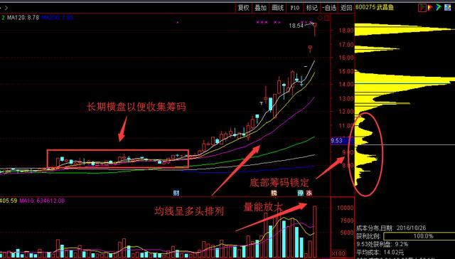 2024年今晚澳门特马,共享解答解释落实_HD74.191